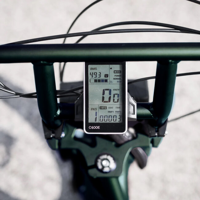 50 Rebels | R-Series Classic | 250 W | Metallic green | 60 km