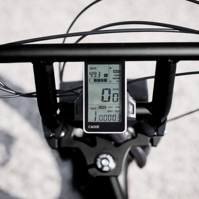 50 Rebels |  V-Series Classic | 250 W | Metallic black | 80 km