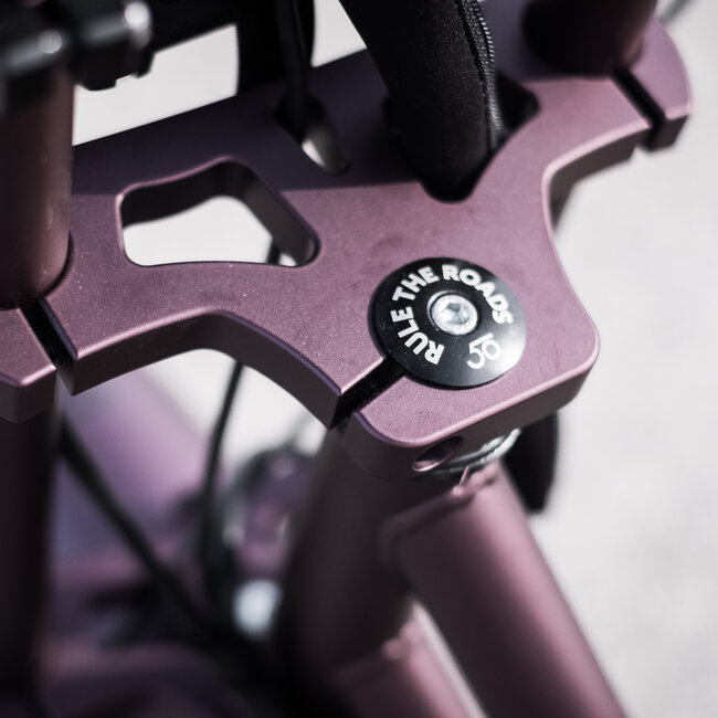 50 Rebels | V-Series Classic | 250 W | Metallic purple | 60 km