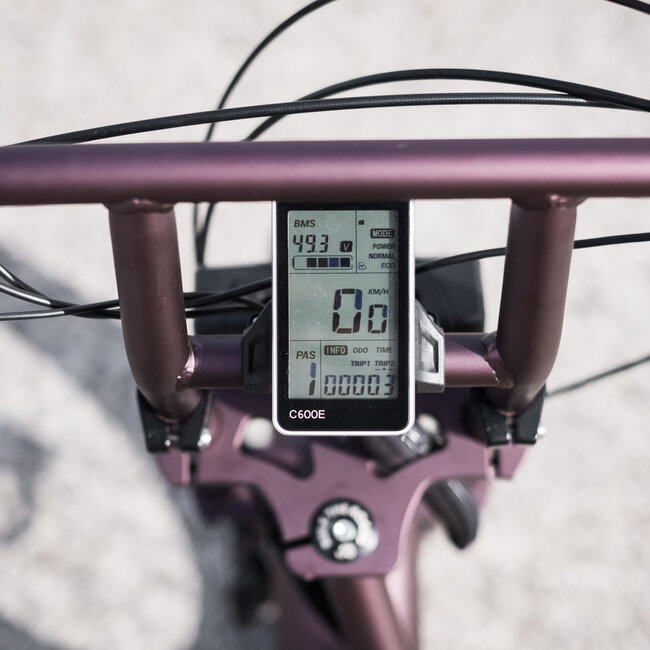 50 Rebels | V-Series Classic | 250 W | Metallic purple | 60 km