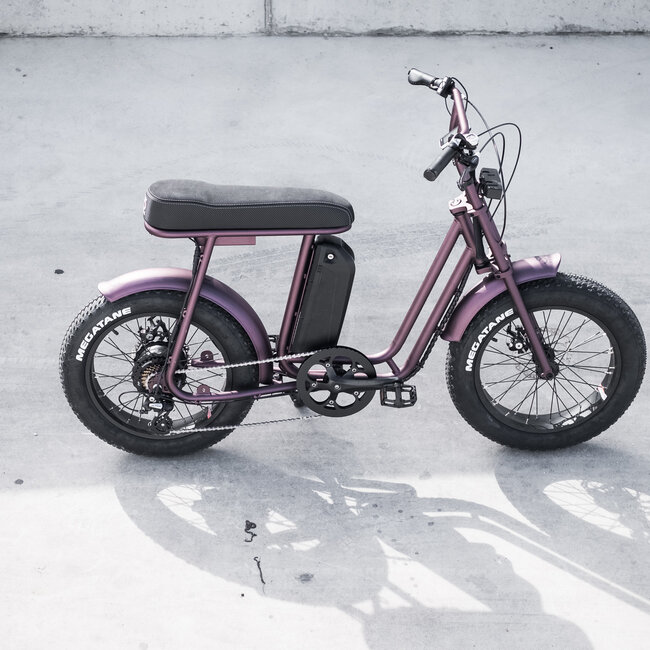 50 Rebels | V-serie Classic | 250 W | Metallic purple | 80 km