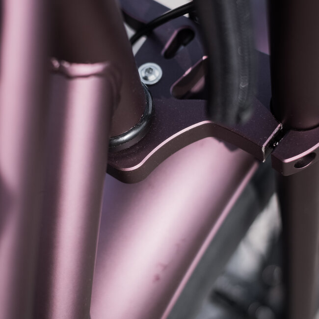 50 Rebels | V-serie Classic | 250 W | Metallic purple | 80 km