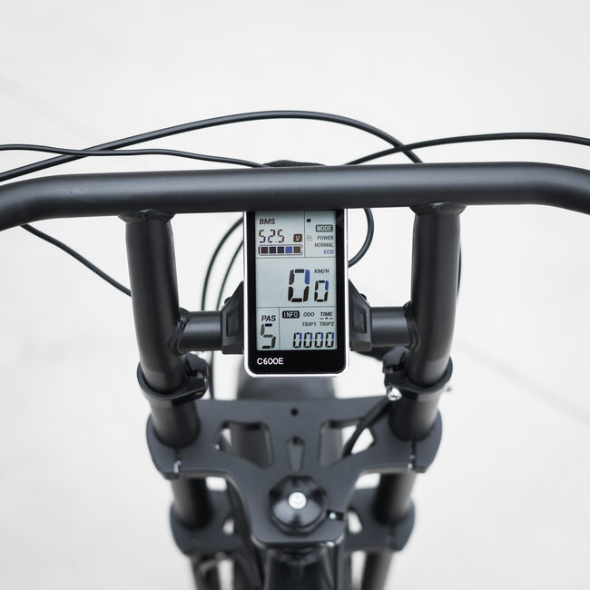 50 Rebels |  V-Series Classic | 250 W | Metallic black | 60 km