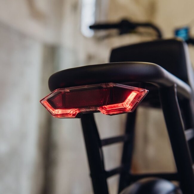 Astonic E-Rides | Earth Extended | 250 W | Graphite black  | 80 km