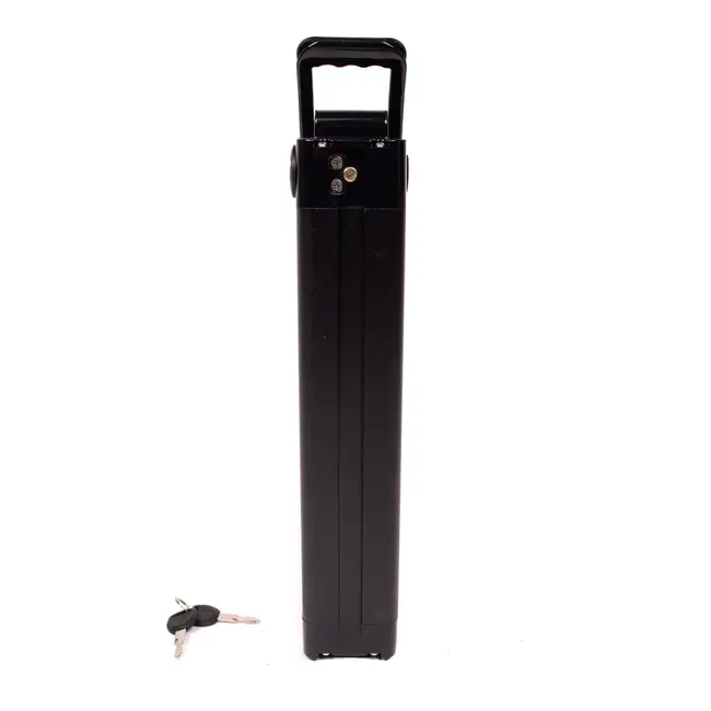 UD | Uni Mk & Sw battery | 48V | 20 Ah | 960 Wh | Silverfish | 100 km