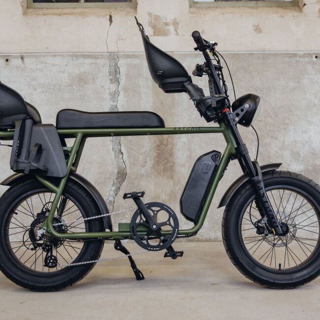 Astonic E-Rides | Earth Extended | 250 W | Olive green | 80 km