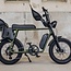 Astonic E-Rides | Earth Extended | 250 W | Olive green | 80 km