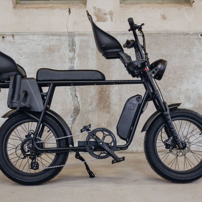 Astonic E-Rides | Earth Extended | 250 W | Graphite black | 100 km