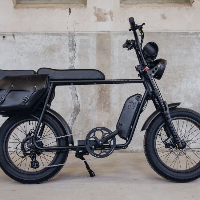 Astonic E-Rides | Earth Extended | 250 W | Graphite black | 100 km