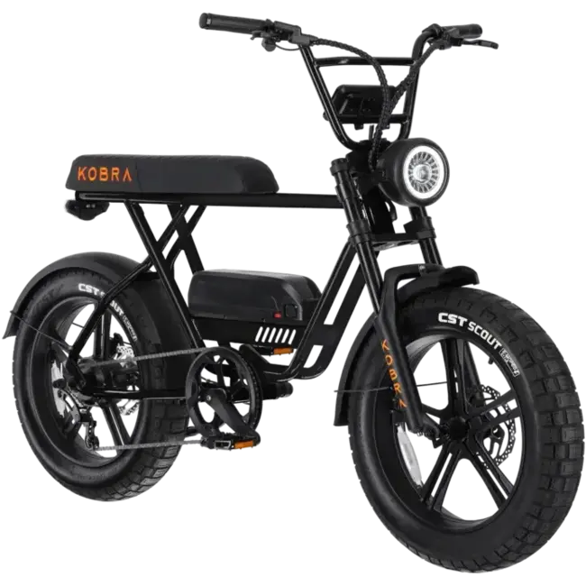 KOBRA | V1.2 | 250 W | Black | 80 km