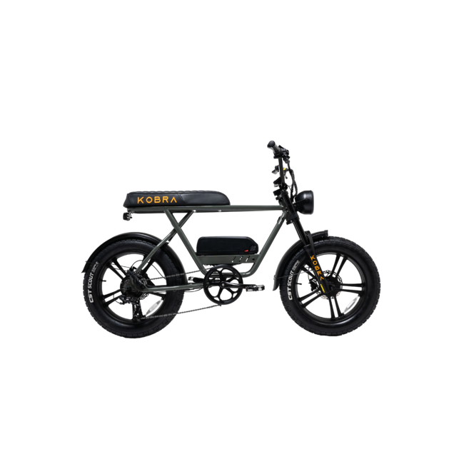 KOBRA | V1.2 | 250 W | Grey | 80 km