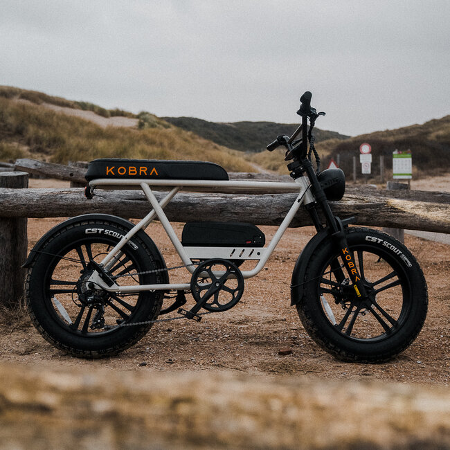 KOBRA | V1.2 | 250 W | White | 80 km