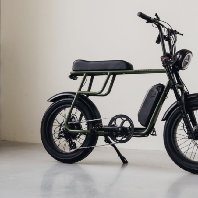 Astonic E-Rides | Earth | Sky High | 250 W | Olive green | 100 km