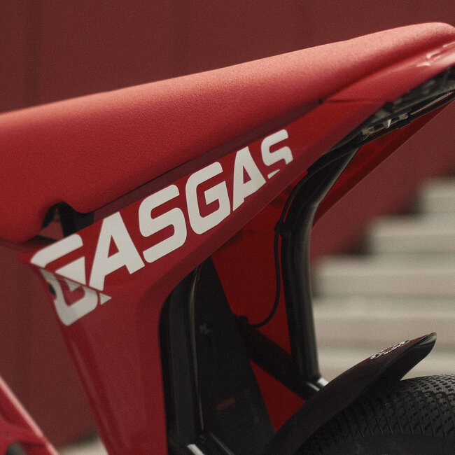GASGAS | Moto 2 | Custom | Front Suspension | Rear Wheel Disc | 250 W | Red | 70 km