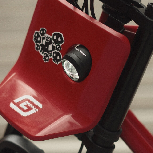 GASGAS | Moto 2 | Custom | Front Suspension | Rear Wheel Disc | 250 W | Red | 70 km