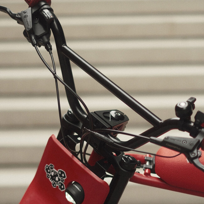 GASGAS | Moto 2 | Custom | Front Suspension | Rear Wheel Disc | 250 W | Red | 70 km