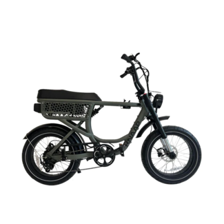 KNAAP Bikes KNAAP | BCN | 250 W | Green | 100 km