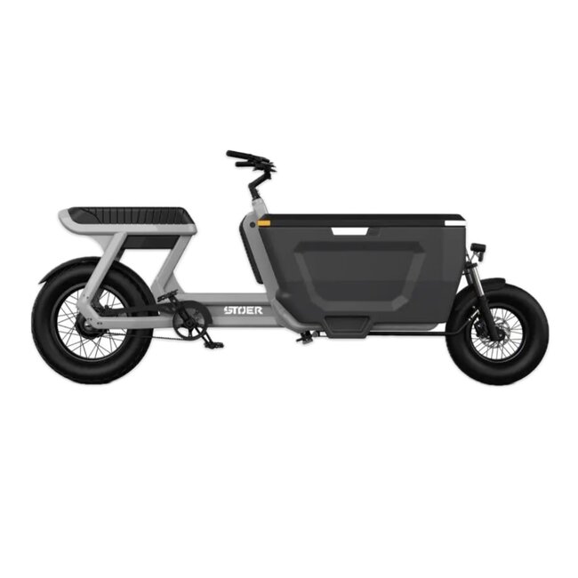 STOER Bikes | CARGO X | 250 W | Nardo Grey | 100 km
