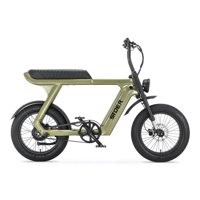 STOER Bikes | URBAN X | 250 W | Green |  100 km