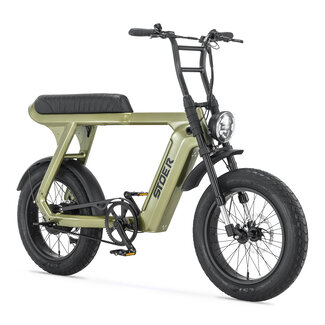STOER Bikes UrbanX | 250 W | Green |  100 km