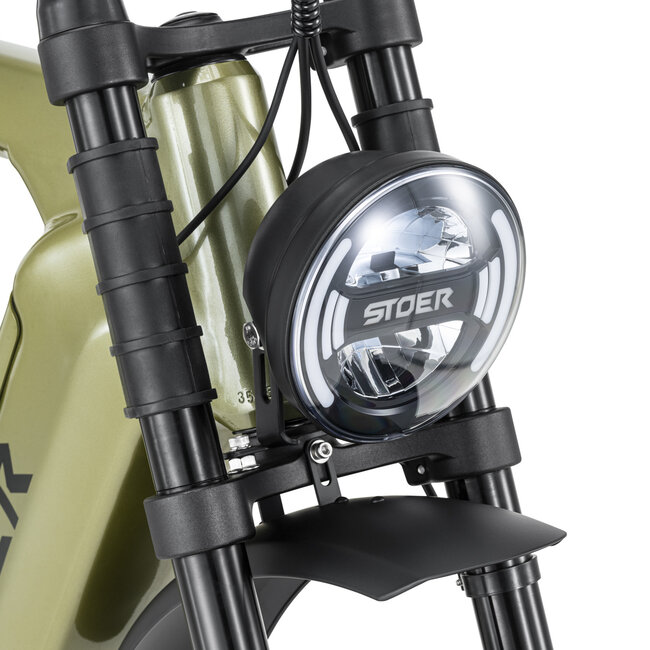 STOER Bikes | URBAN X | 250 W | Green |  100 km