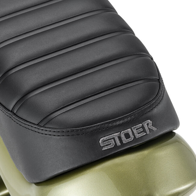 STOER Bikes | URBAN X | 250 W | Green |  100 km