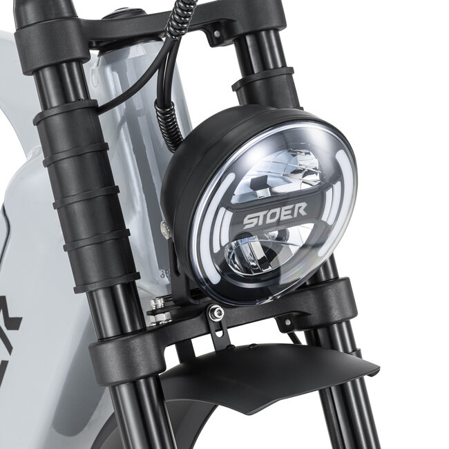 STOER Bikes | URBAN X | 250 W | Grey |  100 km