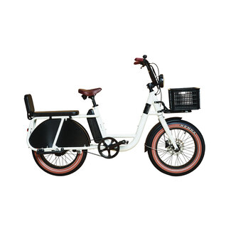 Brinckers Buddy | Longtail | 250 W | Glossy white | 60 km