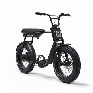 Phatfour FLX | 250 Watt | 500 Wh | Black | 60 Km