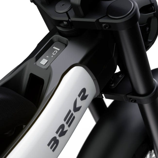 BREKR | F250 | 250W |  Saga Light Green | 70km