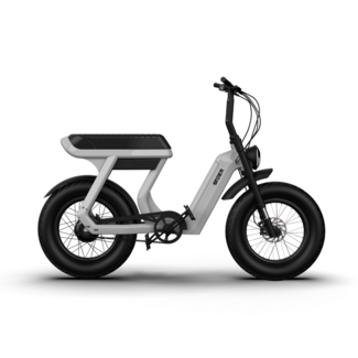 STOER Bikes CityX | 250 W | Grey |  100 km