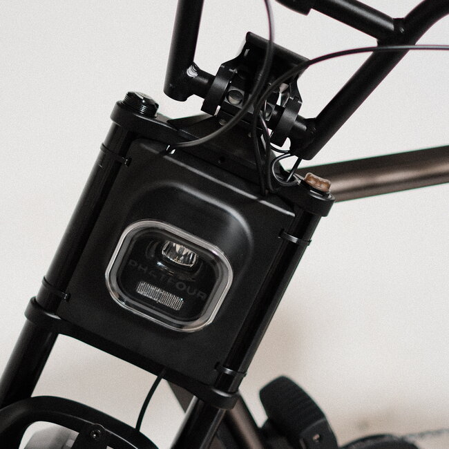FLX + | Belt drive | 250 Watt | 500 Wh | Bronze | 60 Km
