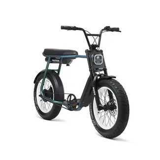 Phatfour FLX + | Belt drive | 250 Watt | 750 Wh | Green | 80 Km