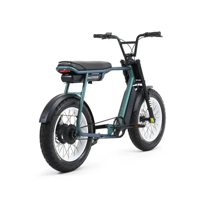 FLX + | Belt drive | 250 Watt | 750 Wh | Green | 80 Km