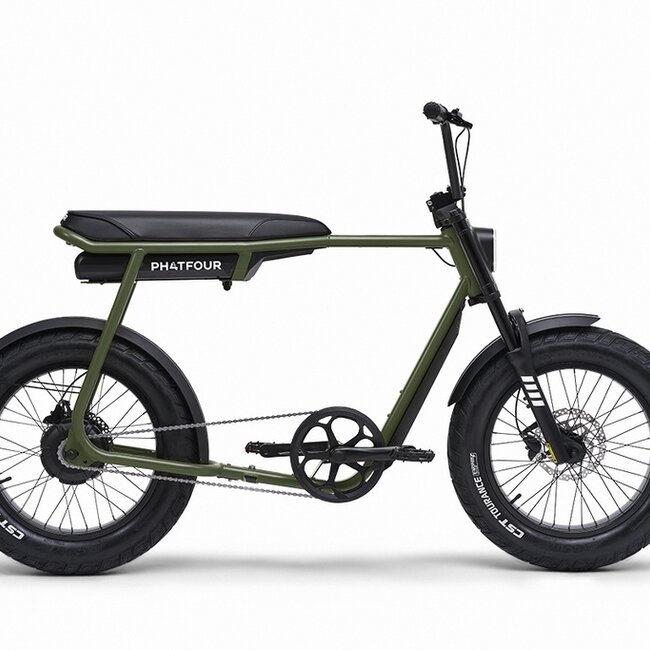 FLX | 250 Watt | 500 Wh | Green | 60 Km