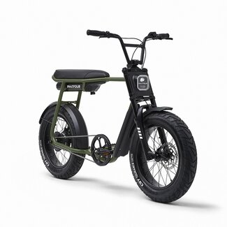 Phatfour FLX | 250 Watt | 500 Wh | Green | 60 Km