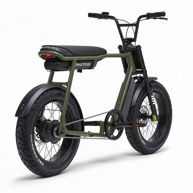 FLX | 250 Watt | 750 Wh | Green | 80 Km