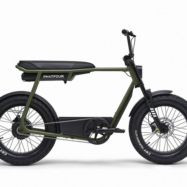 FLX | 250 Watt | 750 Wh | Green | 80 Km