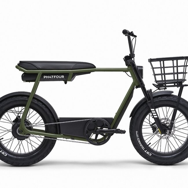 FLX | 250 Watt | 750 Wh | Green | 80 Km