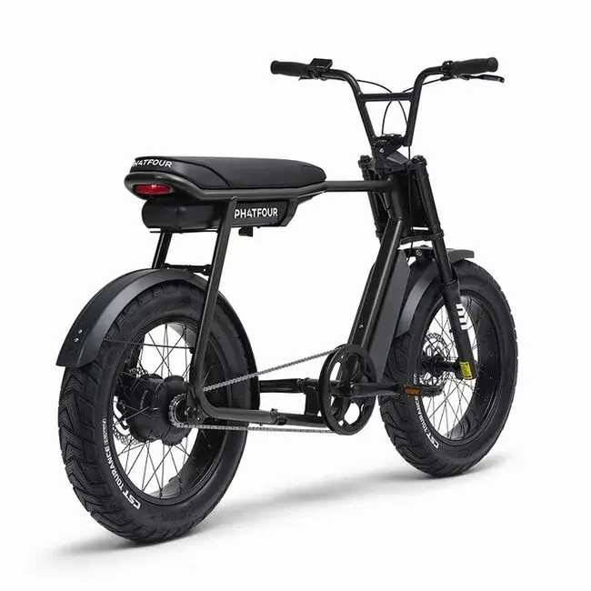 FLX | 250 Watt | 750 Wh | Black | 80 Km