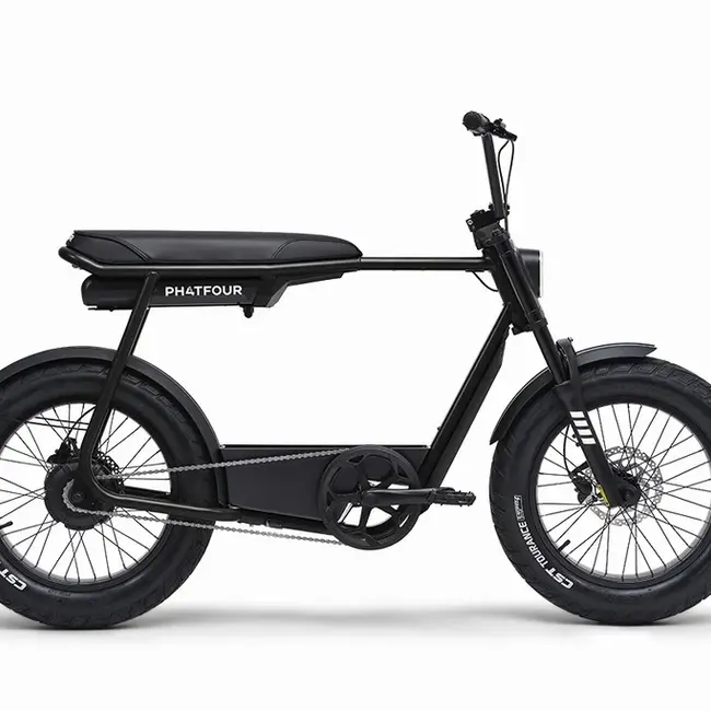 FLX | 250 Watt | 750 Wh | Black | 80 Km