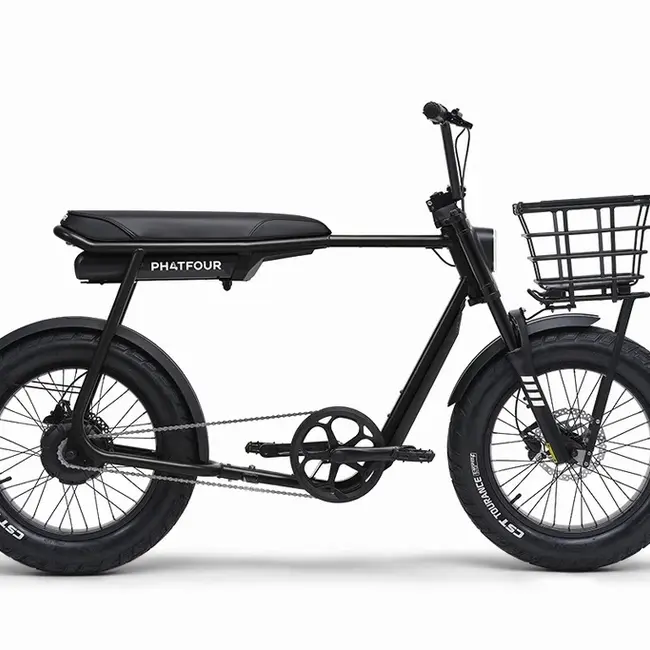 FLX | 250 Watt | 750 Wh | Black | 80 Km