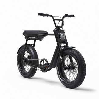 Phatfour FLX | 250 Watt | 750 Wh | Black | 80 Km