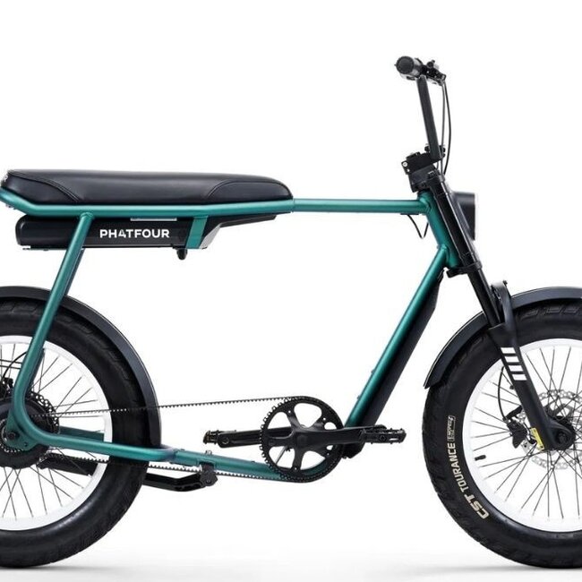 FLX + | Belt drive | 250 Watt | 750 Wh | Green | 80 Km