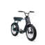 FLX + | Belt drive | 250 Watt | 500 Wh | Green | 60 Km
