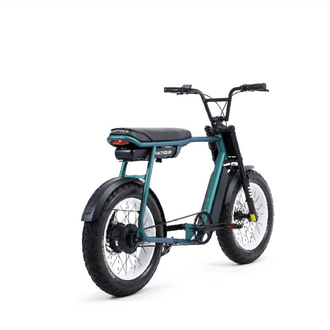 FLX + | Belt drive | 250 Watt | 500 Wh | Green | 60 Km