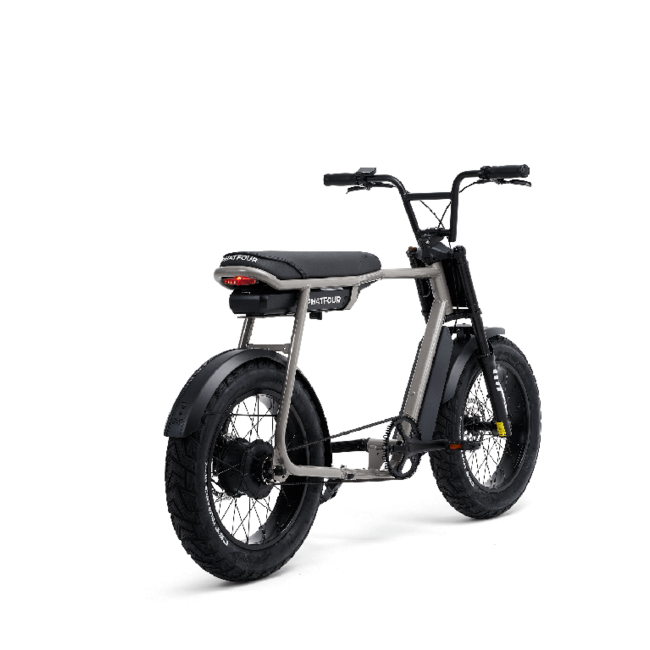 FLX + | Belt drive | 250 Watt | 500 Wh | Grey | 60 Km