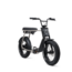 FLX + | Belt drive | 250 Watt | 750 Wh | Grey | 80 Km