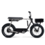 FLX + | Belt drive | 250 Watt | 750 Wh | Grey | 80 Km