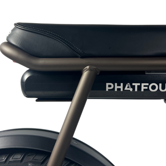 FLX + | Belt drive | 250 Watt | 750 Wh | Bronze | 80 Km